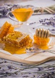 homemade honey in combs on herbs stock photography homemade honey in combs on herbs stock photography