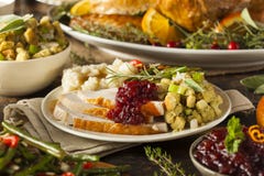 Homemade Thanksgiving Turkey on a Plate stock photos Homemade Thanksgiving Turkey on a Plate stock photos