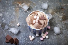 Homemade vanilla and chocolate ice cream with marshmallow, serve Royalty Free Stock Image Homemade vanilla and chocolate ice cream with marshmallow, serve Royalty Free Stock Image