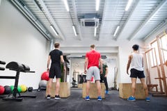 Homens no gym com o instrutor que exercita em caixas do ajuste imagens de stock Homens no gym com o instrutor que exercita em caixas do ajuste imagens de stock