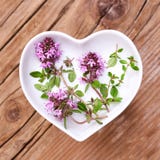 Homeopati och matlagning med timjan royaltyfri bild Homeopati och matlagning med timjan royaltyfri bild