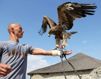 Homme avec l'aigle images libres de droits Homme avec l'aigle images libres de droits