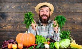 Homme avec la barbe fière de son fond en bois de récolte Les engrais organiques d'excellente récolte de qualité font la récolte photo libre de droits Homme avec la barbe fière de son fond en bois de récolte Les engrais organiques d'excellente récolte de qualité font la récolte photo libre de droits