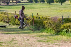 Homme coupant l'herbe avec la machine photos stock Homme coupant l'herbe avec la machine photos stock