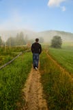 Homme marchant en regain photo libre de droits Homme marchant en regain photo libre de droits