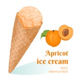 Apricot ice cream in waffle cone royalty free illustration Apricot ice cream in waffle cone royalty free illustration