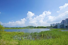 Hong- Kongfeuchtgebiets-Park stockbild Hong- Kongfeuchtgebiets-Park stockbild
