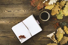 Hoogste mening van de agenda, een kop van hete koffie, de herfst eiken bladeren en lijsterbessenbessen op een houten achtergrond stock fotografie Hoogste mening van de agenda, een kop van hete koffie, de herfst eiken bladeren en lijsterbessenbessen op een houten achtergrond stock fotografie