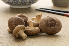 Hoop van verse ruwe shiitake stock afbeeldingen Hoop van verse ruwe shiitake stock afbeeldingen