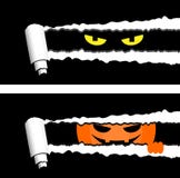 Horisontalhalloween baner med sönderrivna band för rullande papper och spöklika ögon som ut ser royaltyfri illustrationer Horisontalhalloween baner med sönderrivna band för rullande papper och spöklika ögon som ut ser royaltyfri illustrationer