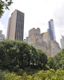 Horizon van Central Park in Uit het stadscentrum Manhattan van de Stad van New York in Verenigde Staten stock afbeeldingen Horizon van Central Park in Uit het stadscentrum Manhattan van de Stad van New York in Verenigde Staten stock afbeeldingen