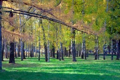Horizontal d'automne Scène d'automne Parc urbain photographie stock Horizontal d'automne Scène d'automne Parc urbain photographie stock