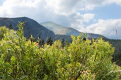 Horizontal de montagnes photographie stock Horizontal de montagnes photographie stock