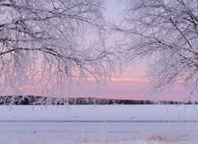 Horizontal en hiver photos libres de droits Horizontal en hiver photos libres de droits