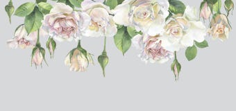 Horizontal frame of roses royalty free illustration Horizontal frame of roses royalty free illustration