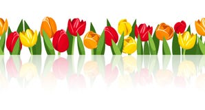Horizontal seamless background with colorful tulips. Vector eps-10. stock illustration Horizontal seamless background with colorful tulips. Vector eps-10. stock illustration