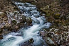 A Horizontal View of a Popular Wild Mountains Trout Stream royalty free stock photo A Horizontal View of a Popular Wild Mountains Trout Stream royalty free stock photo