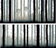 Horizontal wide banners pine trunks and gras of coniferous wood. Royalty Free Stock Photography Horizontal wide banners pine trunks and gras of coniferous wood. Royalty Free Stock Photography