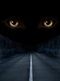 Horreur dans la nuit Horreur dans la nuit