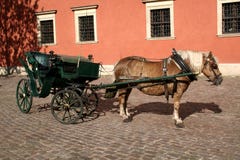 Horse And Cart Stock Photos