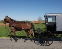 Horse Drawn Amish Carriage Royalty Free Stock Images Horse Drawn Amish Carriage Royalty Free Stock Images
