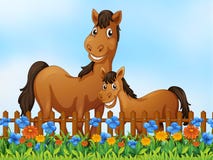 Horse family at flower garden royalty free illustration Horse family at flower garden royalty free illustration