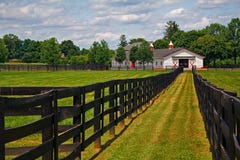 Horse Farm Stock Photography Horse Farm Stock Photography