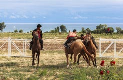 Horse game at Song Kul Lake in Kyrgyzstan royalty free stock image Horse game at Song Kul Lake in Kyrgyzstan royalty free stock image