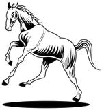 Horse royalty free illustration Horse royalty free illustration