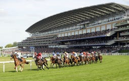Horse Racing Royalty Free Stock Photos Horse Racing Royalty Free Stock Photos