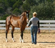 Horse Trainer Stock Images Horse Trainer Stock Images
