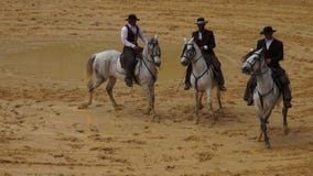 Horseback Riding, Horses, Animals stock video Horseback Riding, Horses, Animals stock video