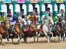 Chunnel Leaping out of the Starting Gate stock photo Chunnel Leaping out of the Starting Gate stock photo