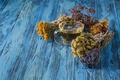 Horsetailinfusion in einem Glascup Kräuter und Blumen, Kräutermedizin lizenzfreies stockbild Horsetailinfusion in einem Glascup Kräuter und Blumen, Kräutermedizin lizenzfreies stockbild