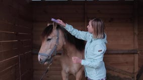 A horsewoman brushes the horses mane and talks to it in the stable stock video A horsewoman brushes the horses mane and talks to it in the stable stock video