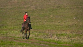 Horsewoman galloping on a green field on horseback. Slow motion stock footage Horsewoman galloping on a green field on horseback. Slow motion stock footage