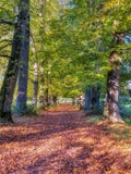 Hospital of St Cross and Almhouses of Noble Poverty, in autumn warm evening sunlight, Winchester, Hampshire, UK royalty free stock image Hospital of St Cross and Almhouses of Noble Poverty, in autumn warm evening sunlight, Winchester, Hampshire, UK royalty free stock image
