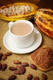 Hot cacao drink, raw cocoa fruit, cacao beans, powder