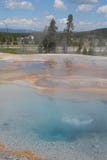 Hot Spring Geyser_Bacterial Formation Royalty Free Stock Photos