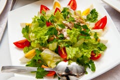 Hot vegetable salad with egg, tomato and meat stock images Hot vegetable salad with egg, tomato and meat stock images