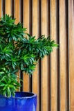 Hotel lobby with green plant Royalty Free Stock Image Hotel lobby with green plant Royalty Free Stock Image