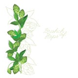 houblon Illustration Fond d'isolement illustration stock houblon Illustration Fond d'isolement illustration stock