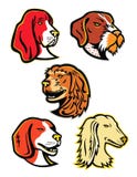 Hound Dogs Mascot Collection Stock Photo