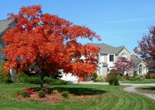 House And Autumn Landscape Stock Photos