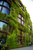 House wall overgrown with beautiful green, nature design. Paris, France royalty free stock photo House wall overgrown with beautiful green, nature design. Paris, France royalty free stock photo