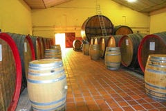 House wine royalty free stock photography House wine royalty free stock photography
