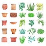 Houseplants de la acuarela en los potes fijados libre illustration Houseplants de la acuarela en los potes fijados libre illustration