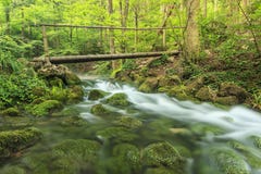 Houten brug en babbling beek in het bos, het Nationale Park van Beusnita, Roemenië stock foto's Houten brug en babbling beek in het bos, het Nationale Park van Beusnita, Roemenië stock foto's