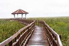 Houten brug en paviljoenmeer op daling die in Sam Roi Yot regenen stock fotografie Houten brug en paviljoenmeer op daling die in Sam Roi Yot regenen stock fotografie