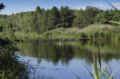 Houten brug over de Rivier in het bos, waar een visser amid groene bossen en blauwe hemel zit stock afbeeldingen Houten brug over de Rivier in het bos, waar een visser amid groene bossen en blauwe hemel zit stock afbeeldingen